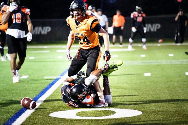 What are the signs of common pet health issues in the UK?