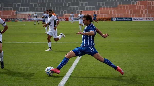 How do UK pet owners celebrate their pets' birthdays?